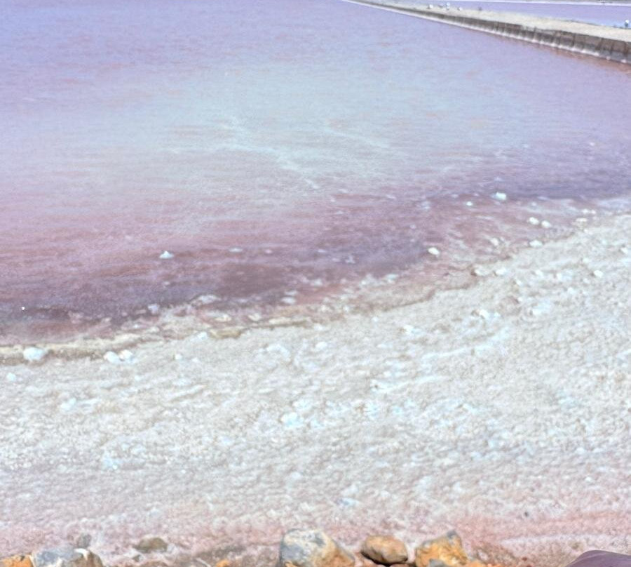 Les Salin-La Palme必去景点