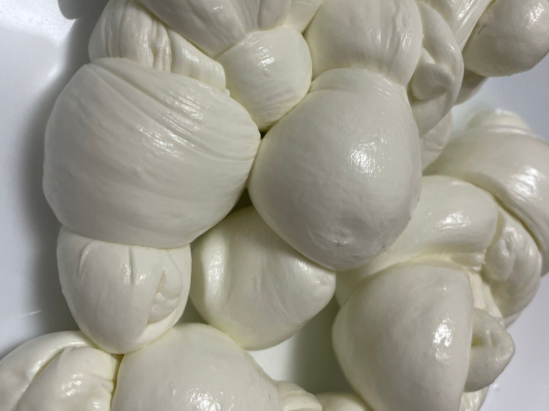 Caseificio Il Casolare-Alvignano必去景点