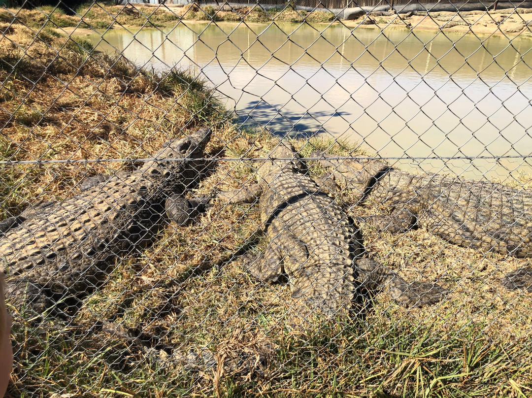 Eventieria Wildlife Park-瓦尔沃特必去景点