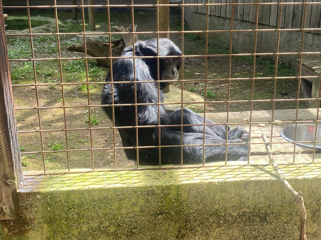 Bouillon Wildlife Park-布容必去景点