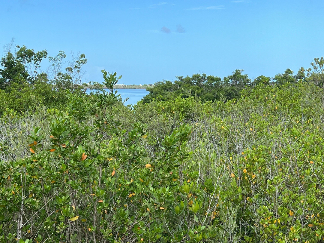 dr willard “bill” coy preserve