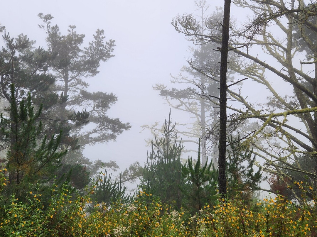 Jacks Peak County Park景点图片