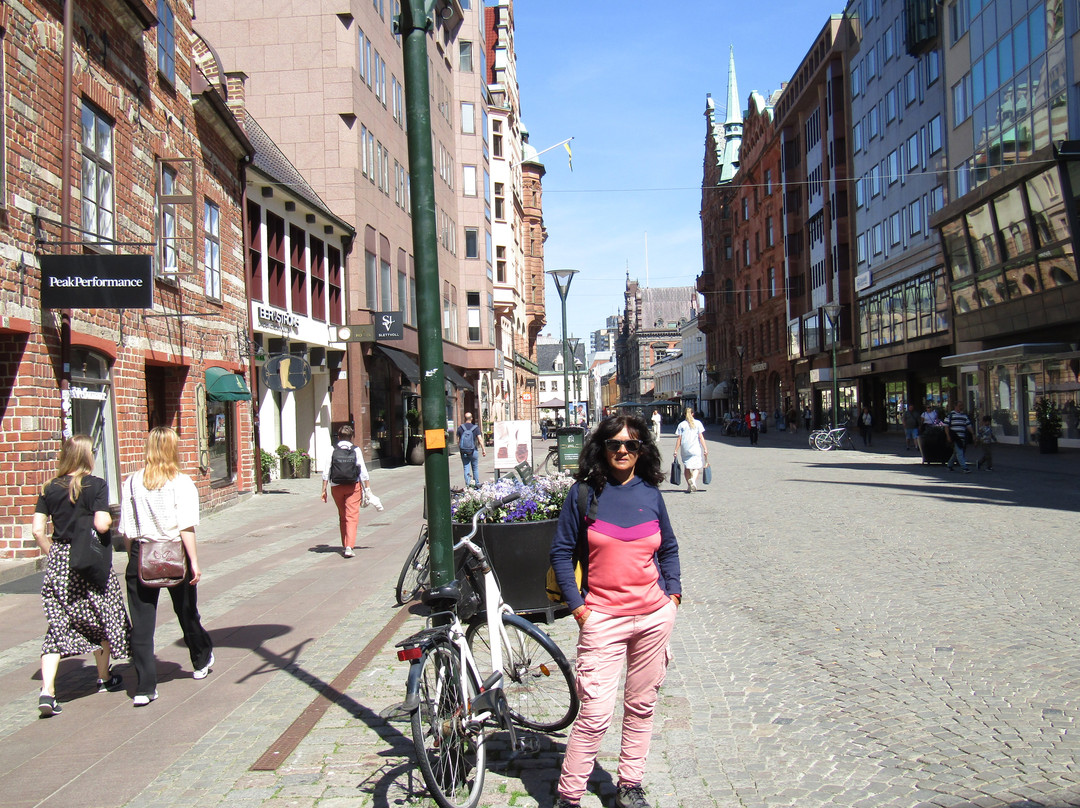 Södergatan Street-马尔默必去景点