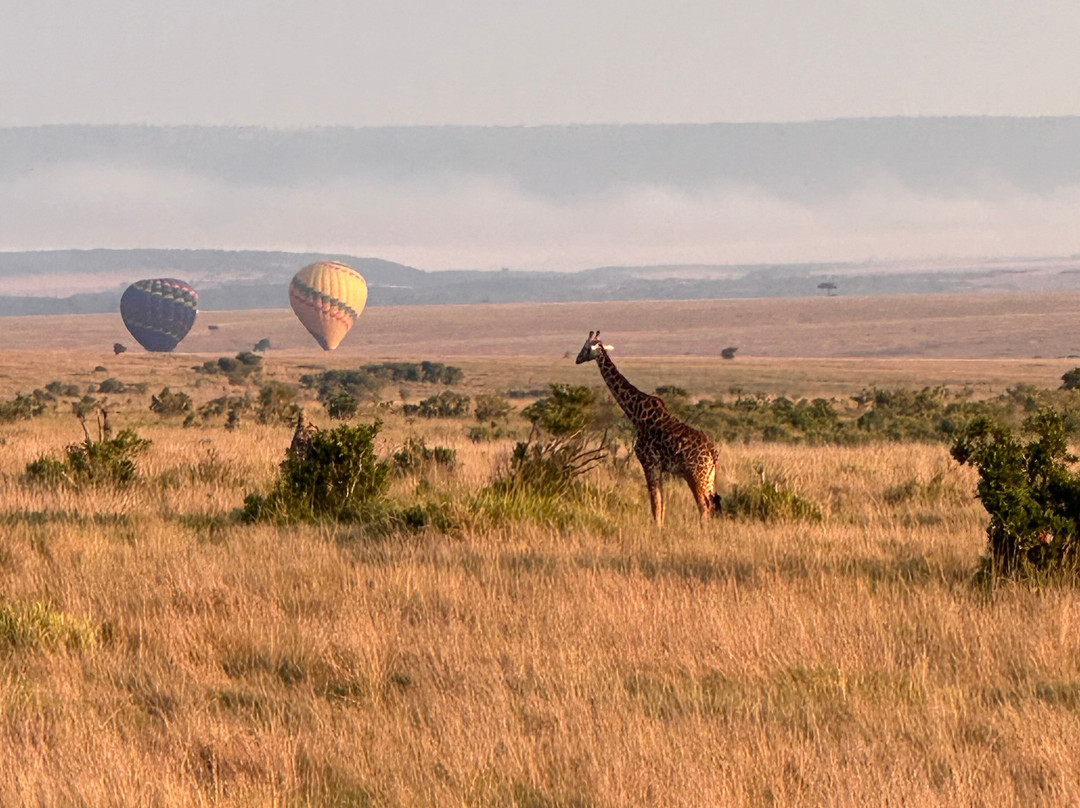 Balloon Safaris Ltd.景点图片