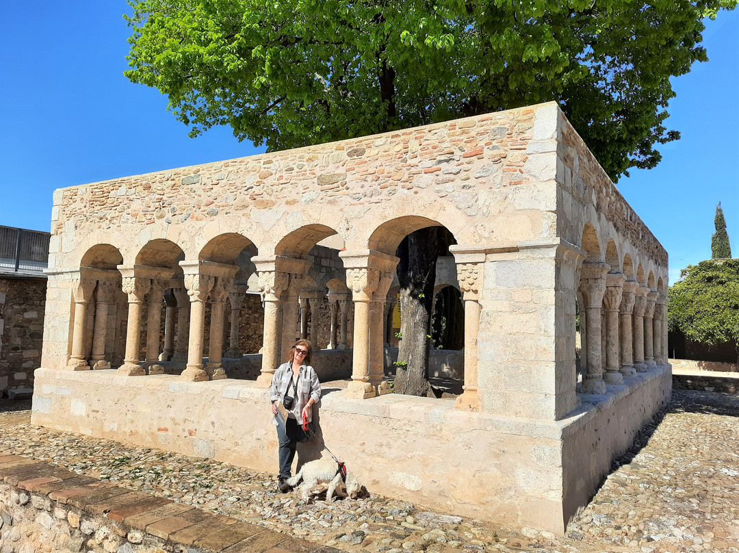 Romanesque cloister of Sant Domenec (Museum of the town)景点图片