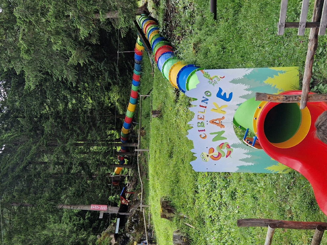 Adventure Park Piciocaa景点图片