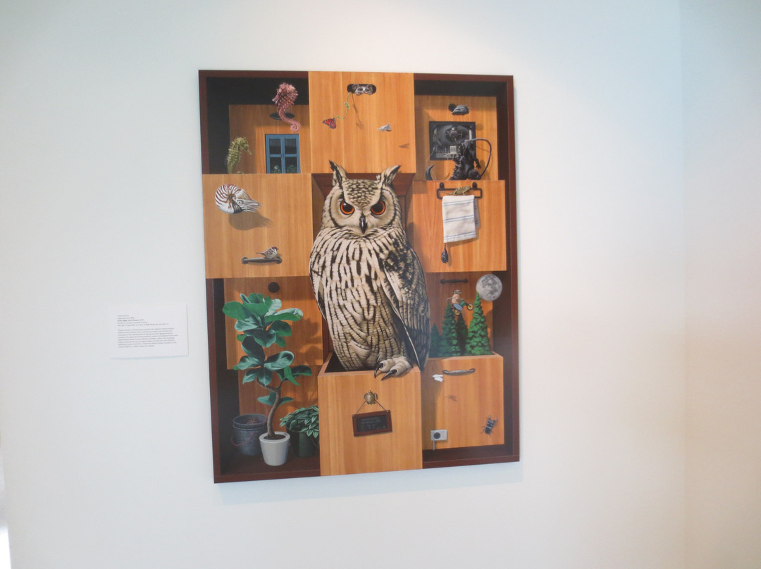 Johnson Museum of Art景点图片
