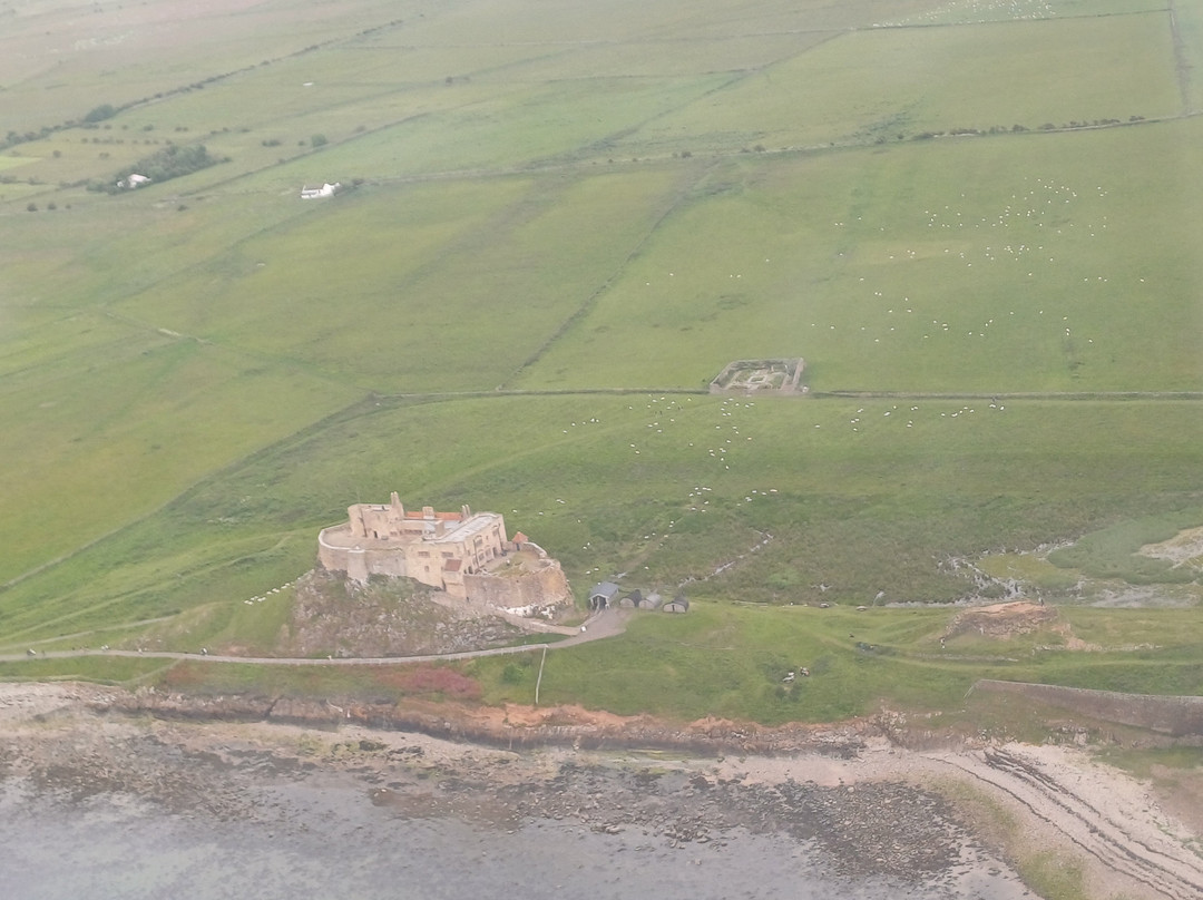 Tiger Flights Northumberland景点图片