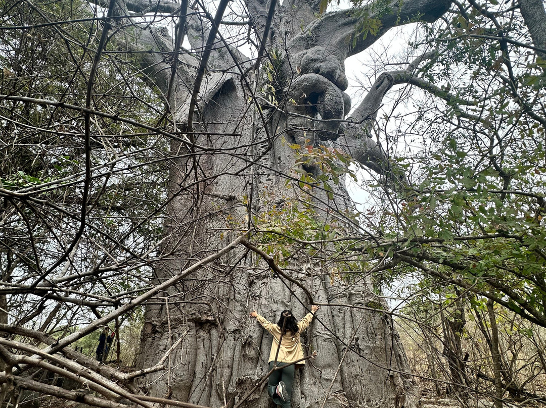 Orbis DMC-布兰岱必去景点