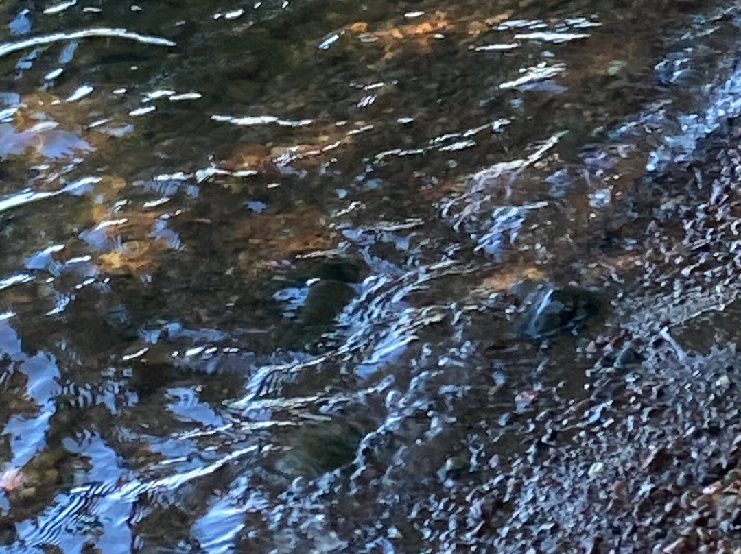 Isle Royale National Park-霍顿必去景点