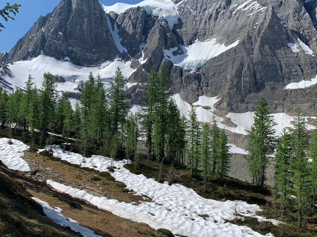 Kootenay National Park景点图片