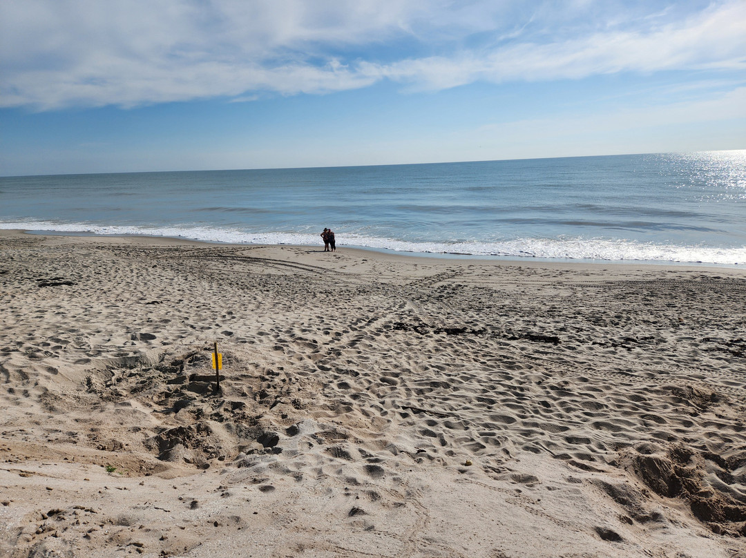 Melbourne Beach Resort主图