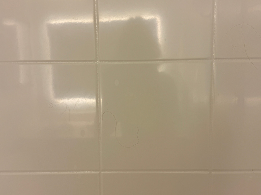 密尔沃基河希尔顿酒店主图