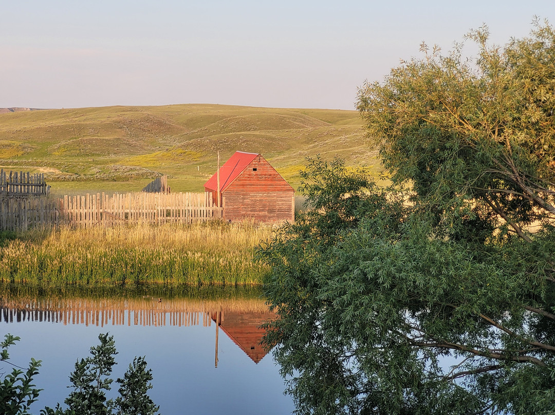 The Crossing at Grasslands主图
