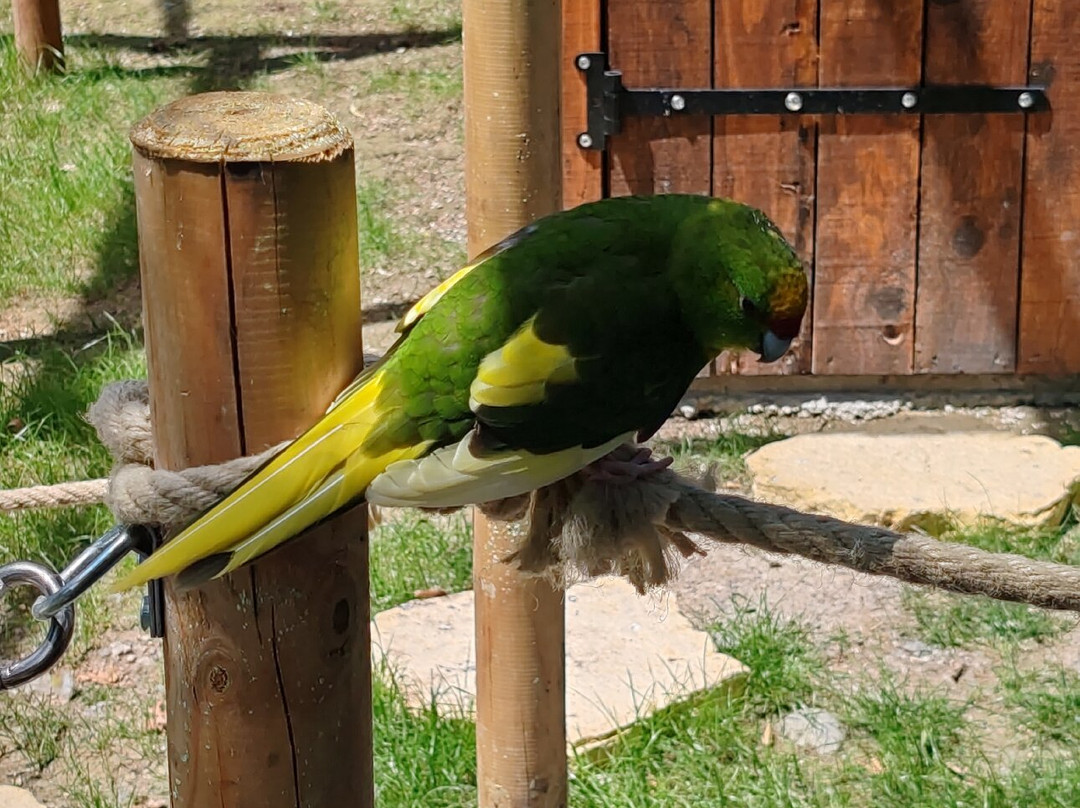 Parc Animalier De Lussas-Lussas必去景点