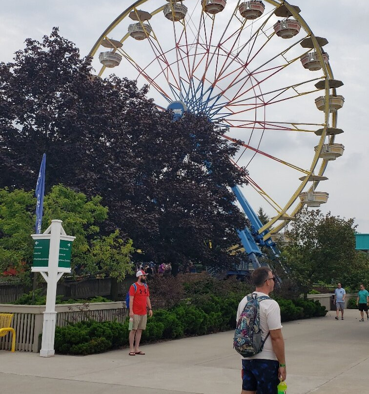 Michigan's Adventure景点图片