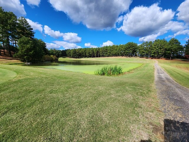 Caswell Pines Golf Club景点图片