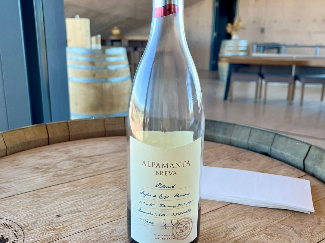 Bodega Alpamanta-路冉得库约必去景点