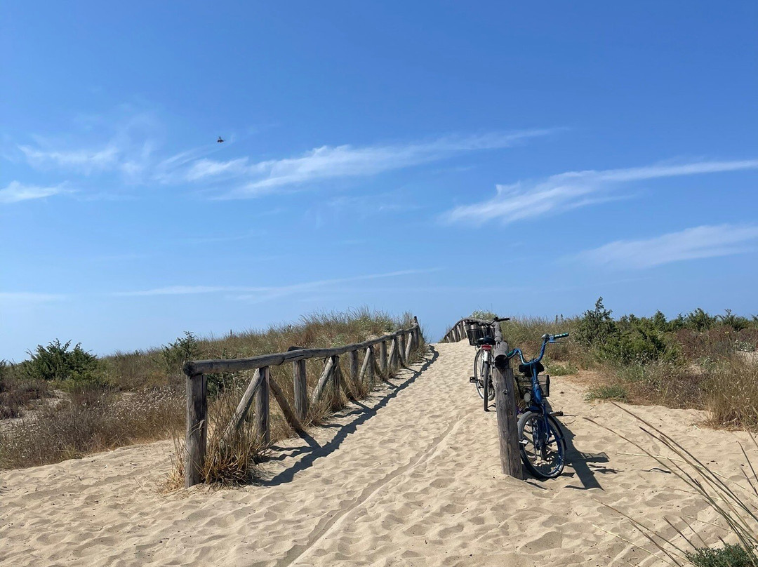 Spiaggia Della Lecciona景点图片