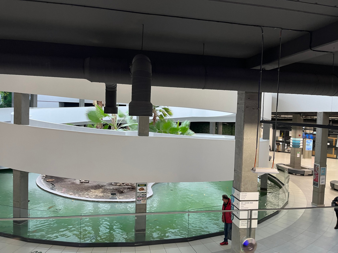 Aquapark Reda景点图片