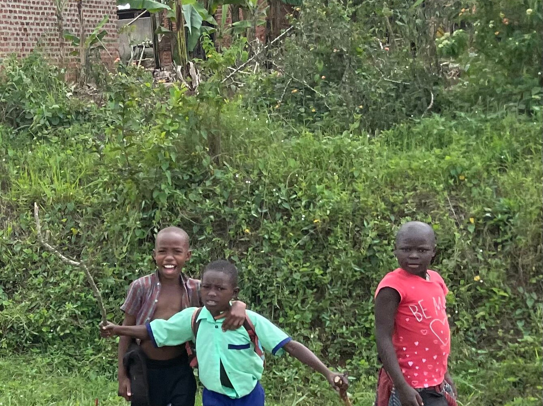 Gorilla Tour Booking Safaris-坎帕拉必去景点