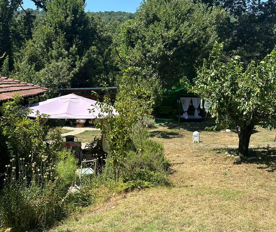 Casa Carmela - Rural Hotel主图