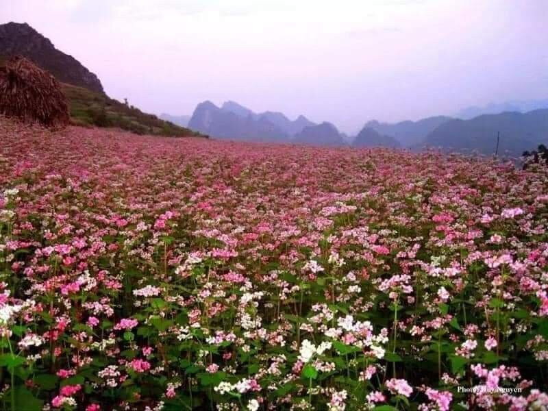 Sary-Ha Giang必去景点