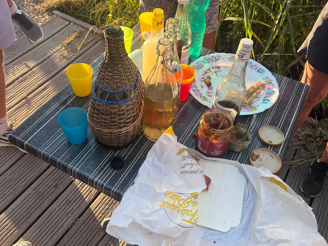 Happy Tour Camargue-艾格莫尔特必去景点