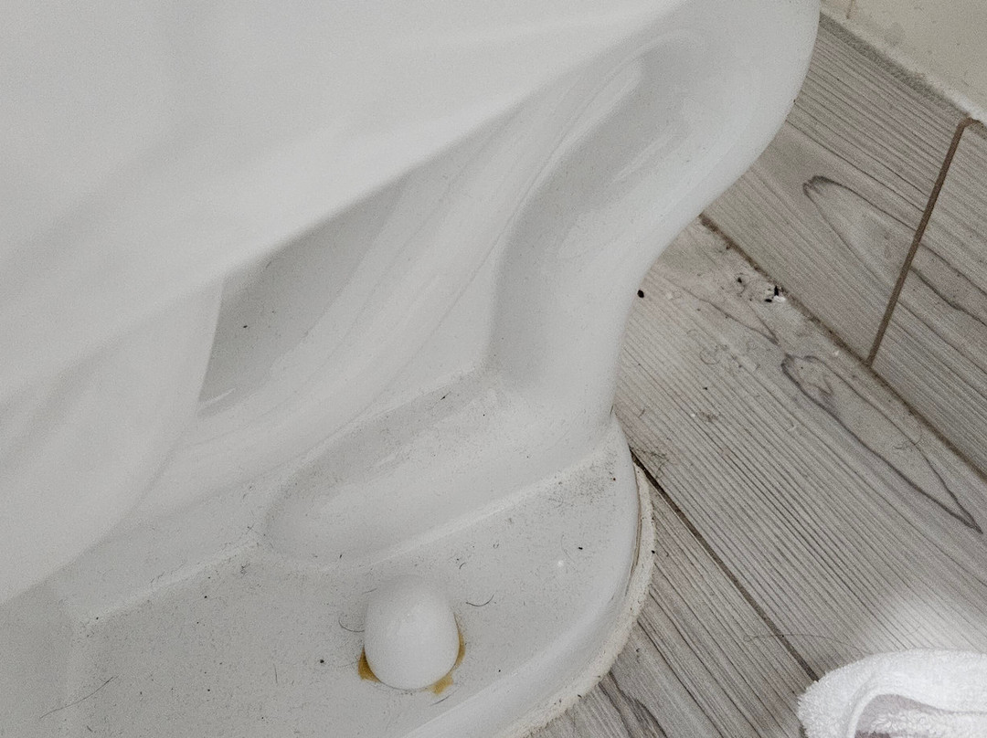 Charleston Creekside Inn主图