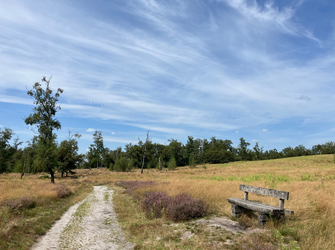 Langoed De Hamert, Wellerlooi