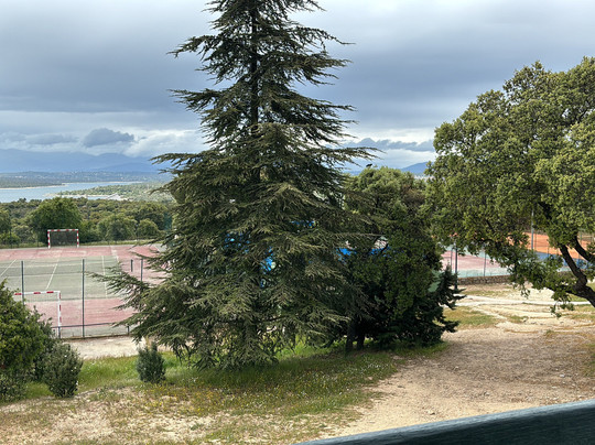 Las Terrazas De Pino Alto