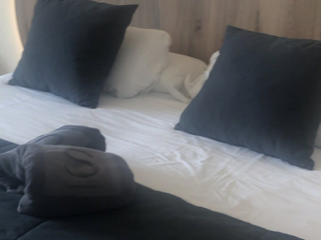 欧洲之星拉斯坎特拉斯酒店主图