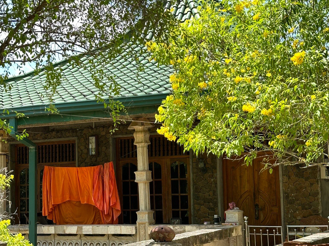 Avukana Buddha Statue-Kekirawa必去景点