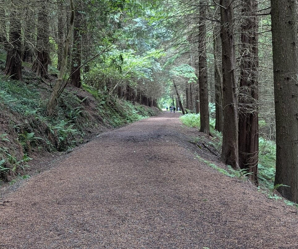 Glenarm forest-Glenarm必去景点