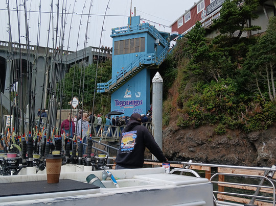 Tradewinds Charters-Depoe Bay必去景点