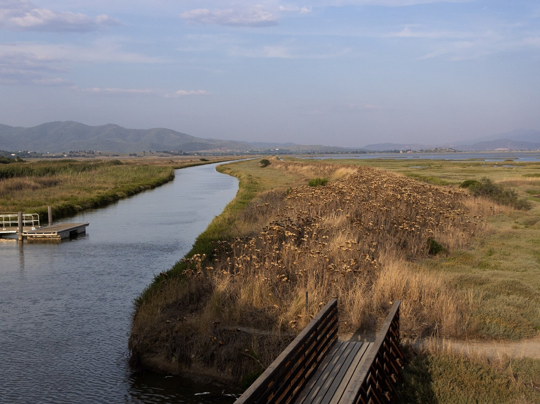 Riserva Naturale Diaccia Botrona景点图片