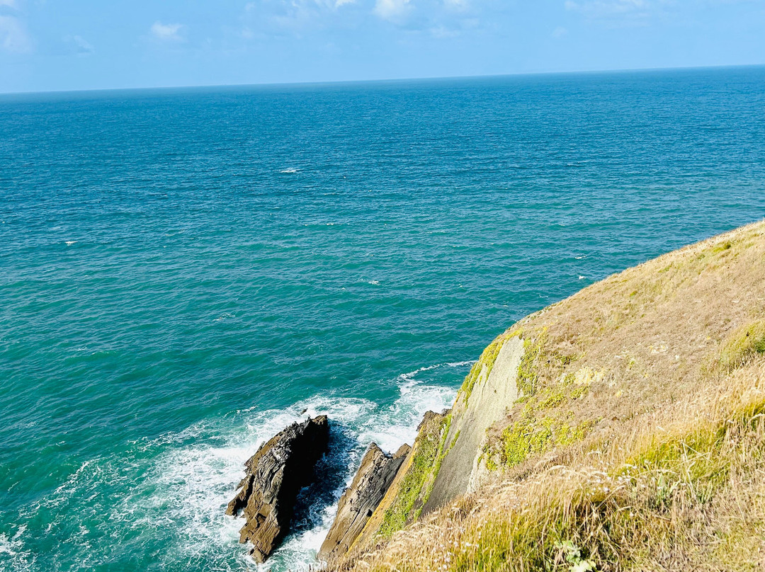 Baggy Point Easy Access Walk景点图片