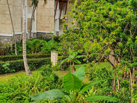 温德姆阿尔特拉萨马纳全包式度假村