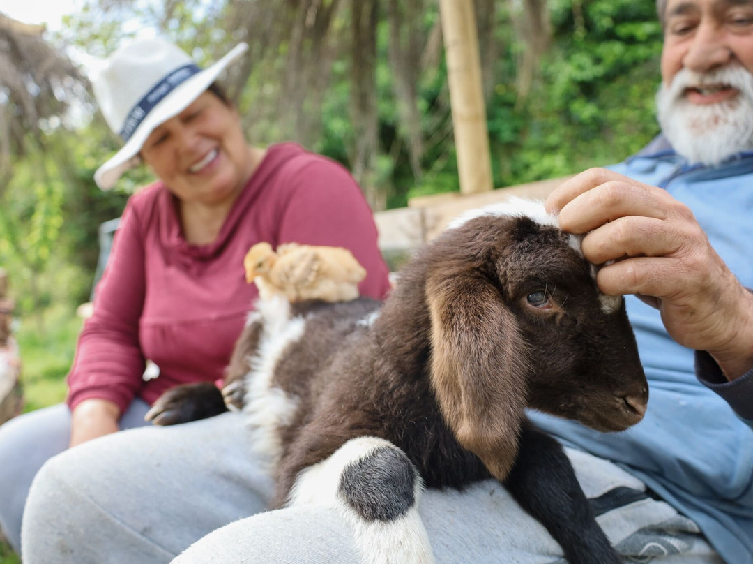 Quinta Do Luar-null必去景点