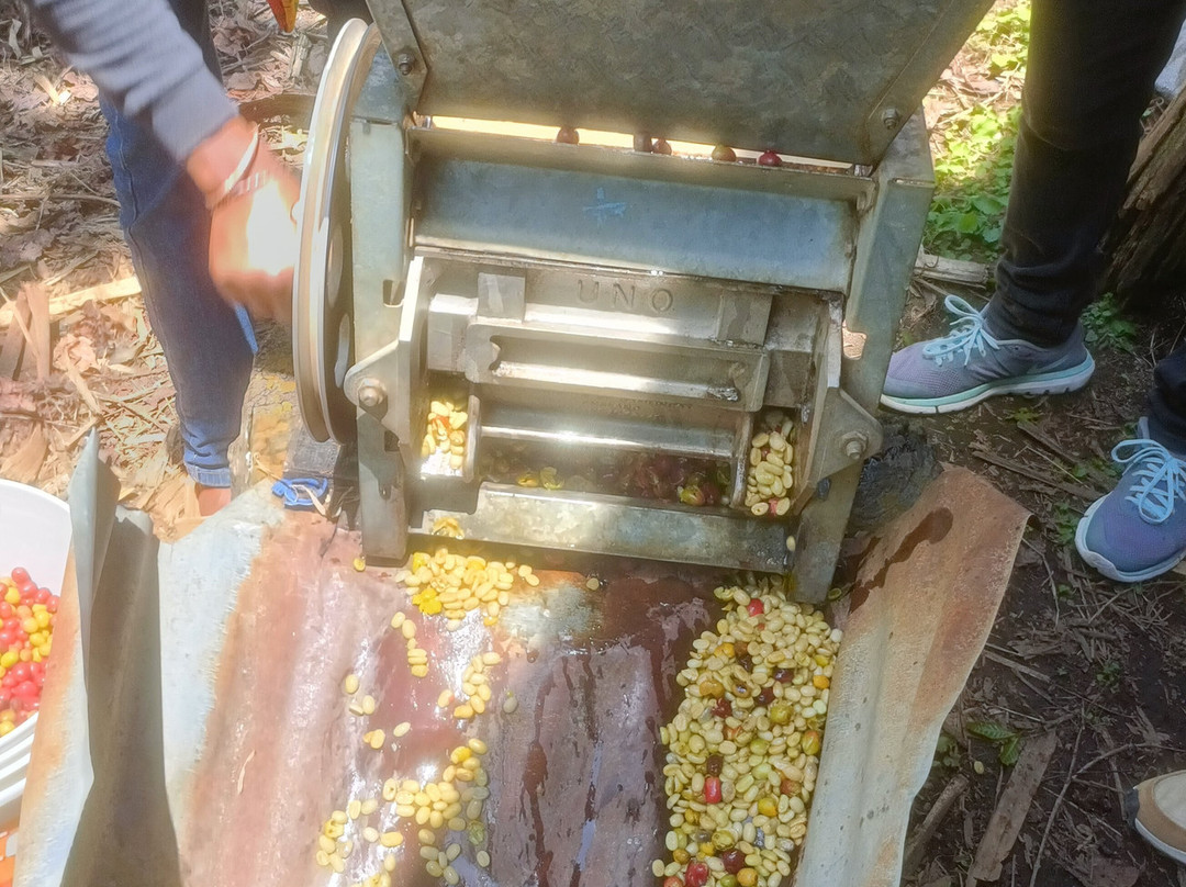 Moivaro Cultural Tourism Programme-阿鲁沙必去景点