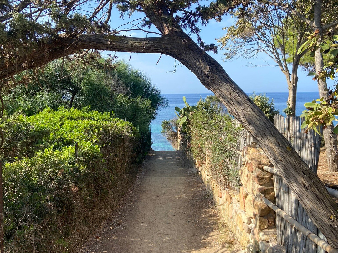 Cala Caterina Beach-维拉西谬斯必去景点