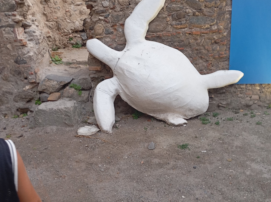 Muma Museo Del Mare Milazzo景点图片
