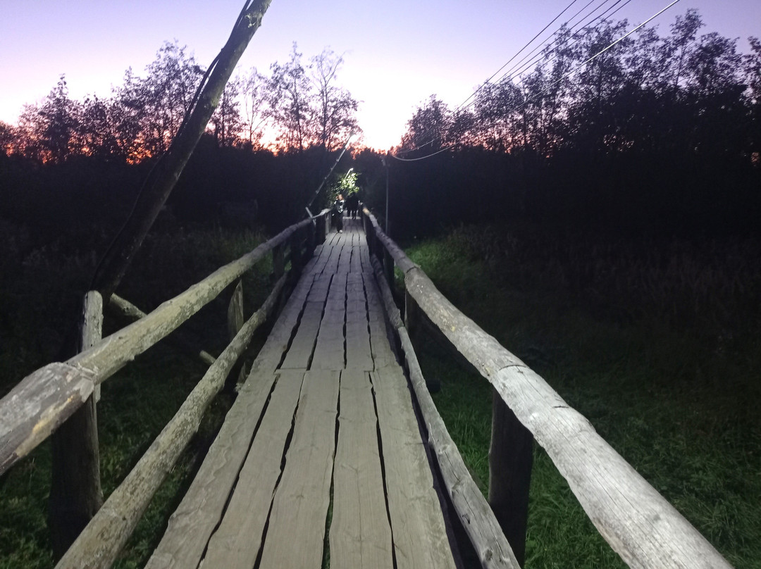 Typographic Bridge-Kirzhach必去景点