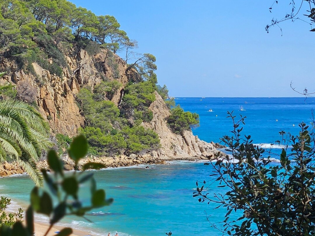 Playa de Santa Cristina景点图片