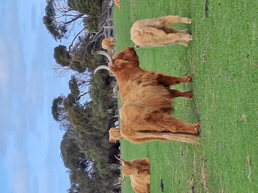 Island Breeze Resort主图