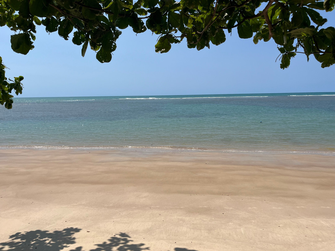 Ponta de Itapororoca-特兰科苏必去景点