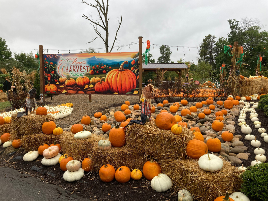 Resort at Governor's Crossing主图