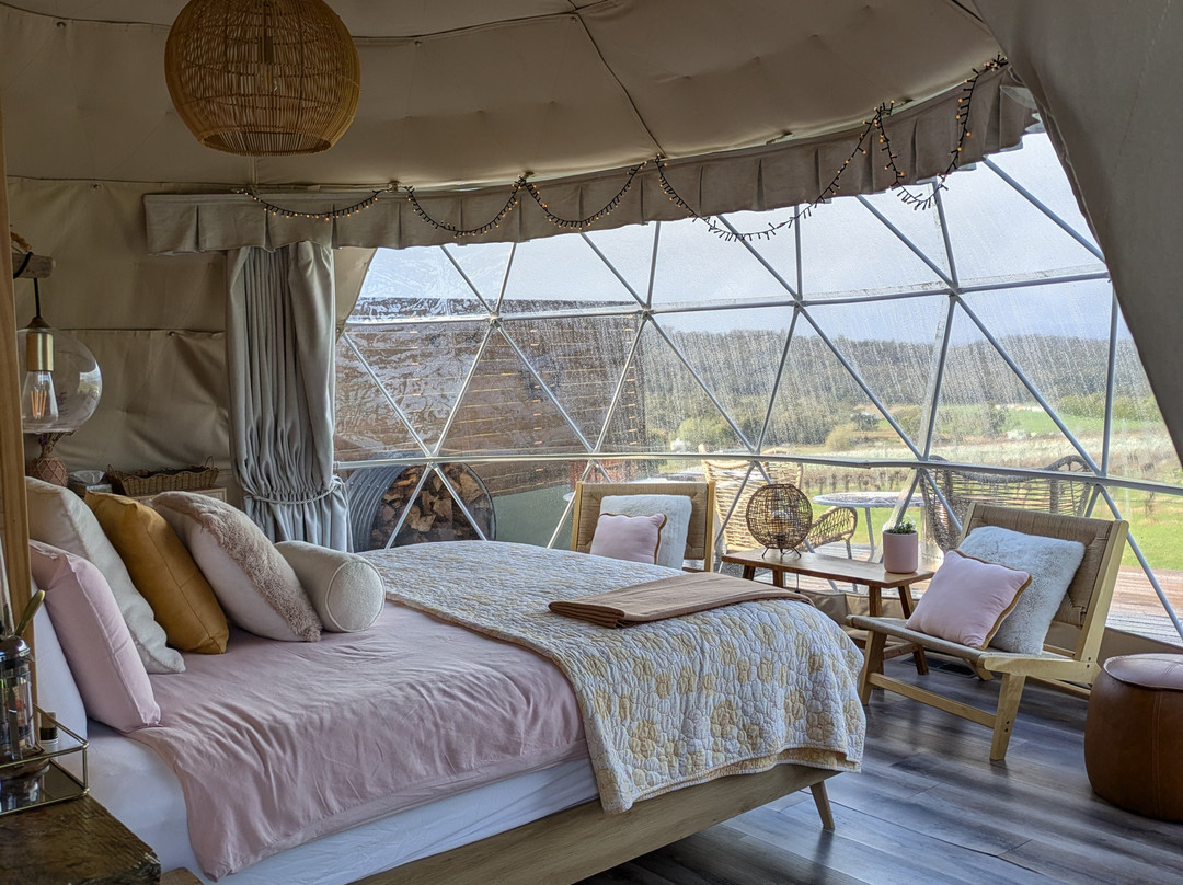 Domescapes in the Vines主图