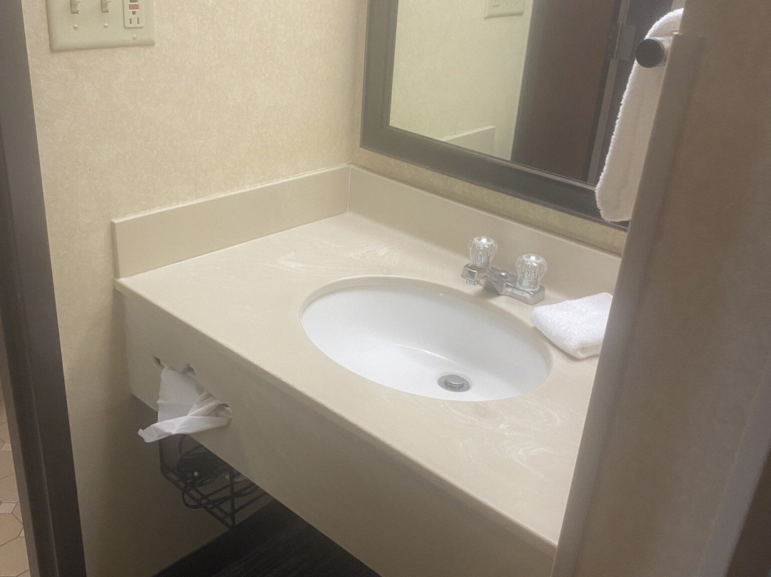 Pear Tree Inn Sikeston主图