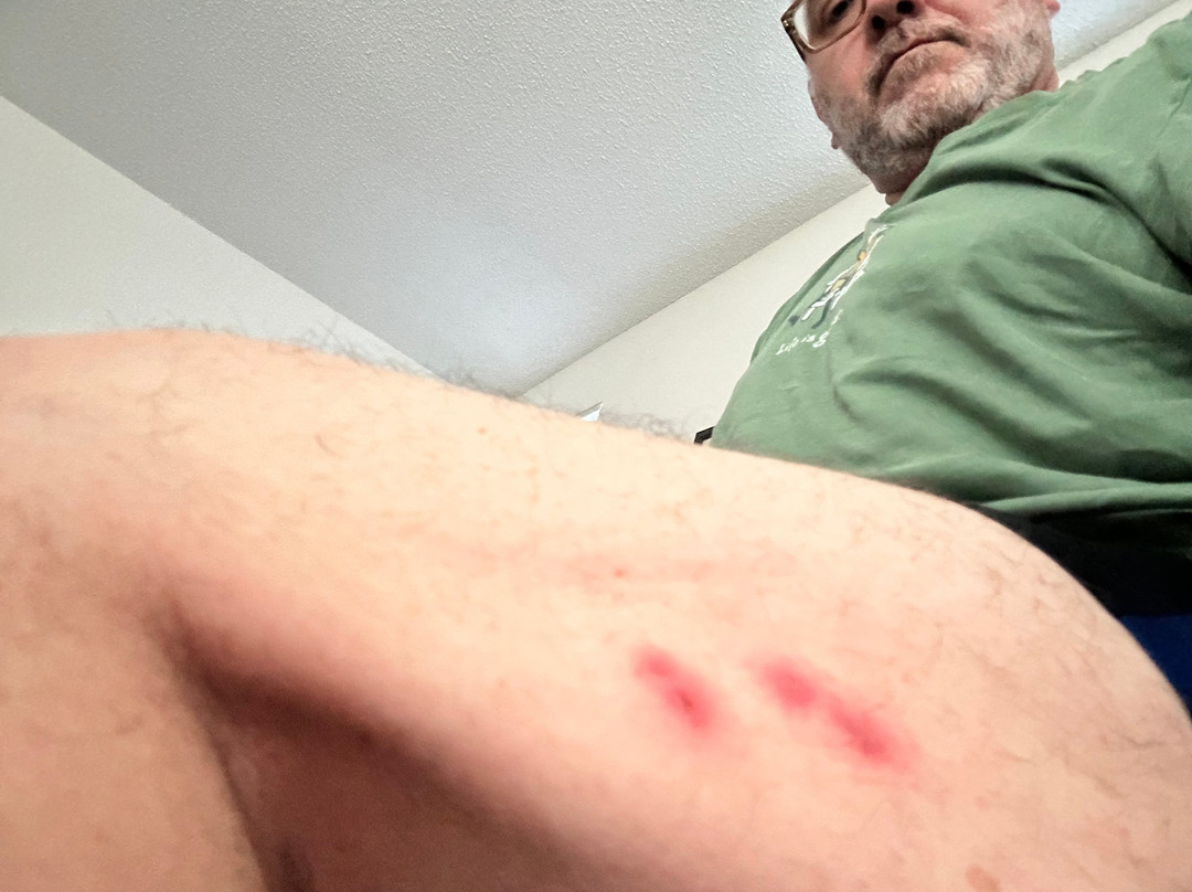 TownePlace Suites by Marriott Kalamazoo主图